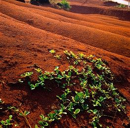 TGA 2021：《神奇女侠》游戏正式公布 发售日期待定